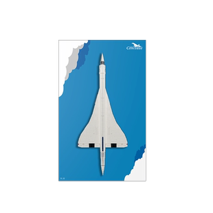 LYB乐一百适用乐高10318协和式飞机客机挂墙背板透明亚克力展示盒