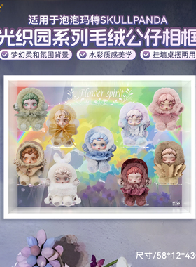 乐一百适用泡泡玛特SKULLPANDA光织园毛绒公仔挂件盲盒相框展示盒
