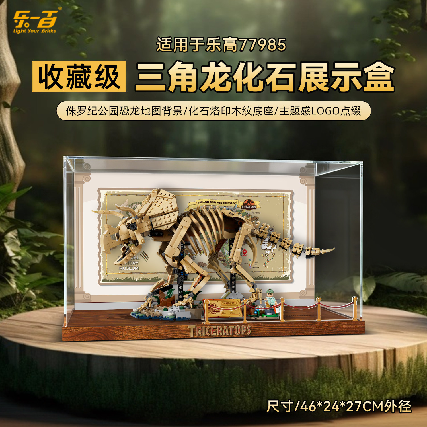 适用77985恐龙化石三角龙展示盒