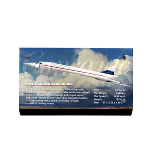 LYB乐一百适用乐高创意系列10318协和式飞机客机透明亚克力铭牌