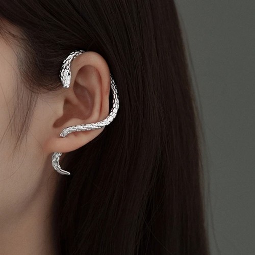 蛇形耳钉酷帅女耳饰蛇年学生党痞帅风耳挂耳环2025新款夸张耳坠