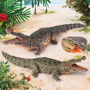 仿真鳄鱼模型帝王鳄长吻鳄尼罗鳄野猪鳄儿童玩具科教认知模型摆件