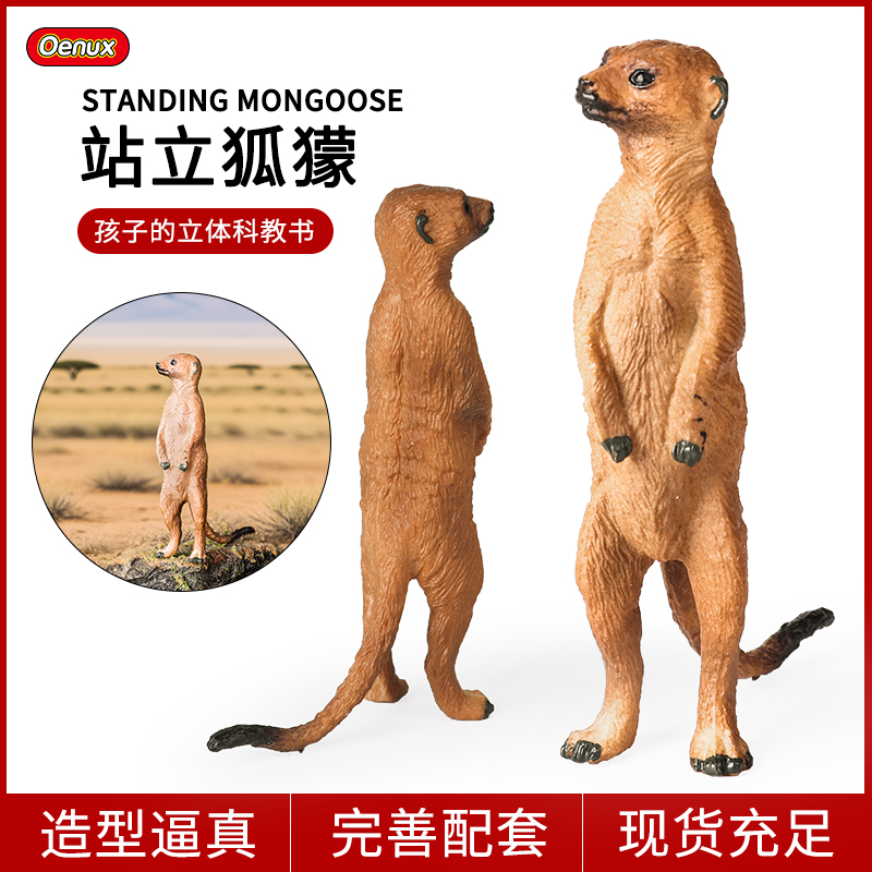 仿真野生动物模型玩具