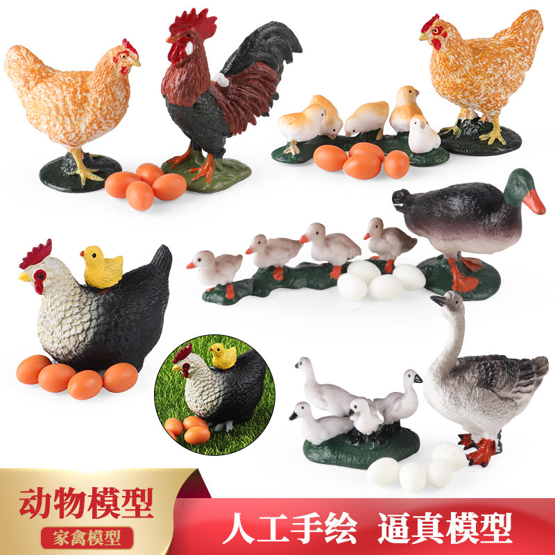 仿真家禽动物模型玩具图片
