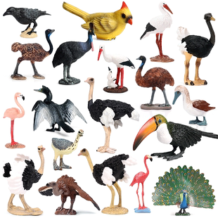 仿真动物模型野生动物鸵鸟孔雀秃鹫乌鸦火烈鸟鹰鹦鹉摆件儿童玩具