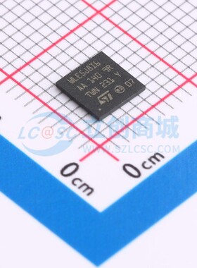 单片机(MCU/MPU/SOC) STM32WLE5J8I6 UFBGA-73 ST(意法半导体)