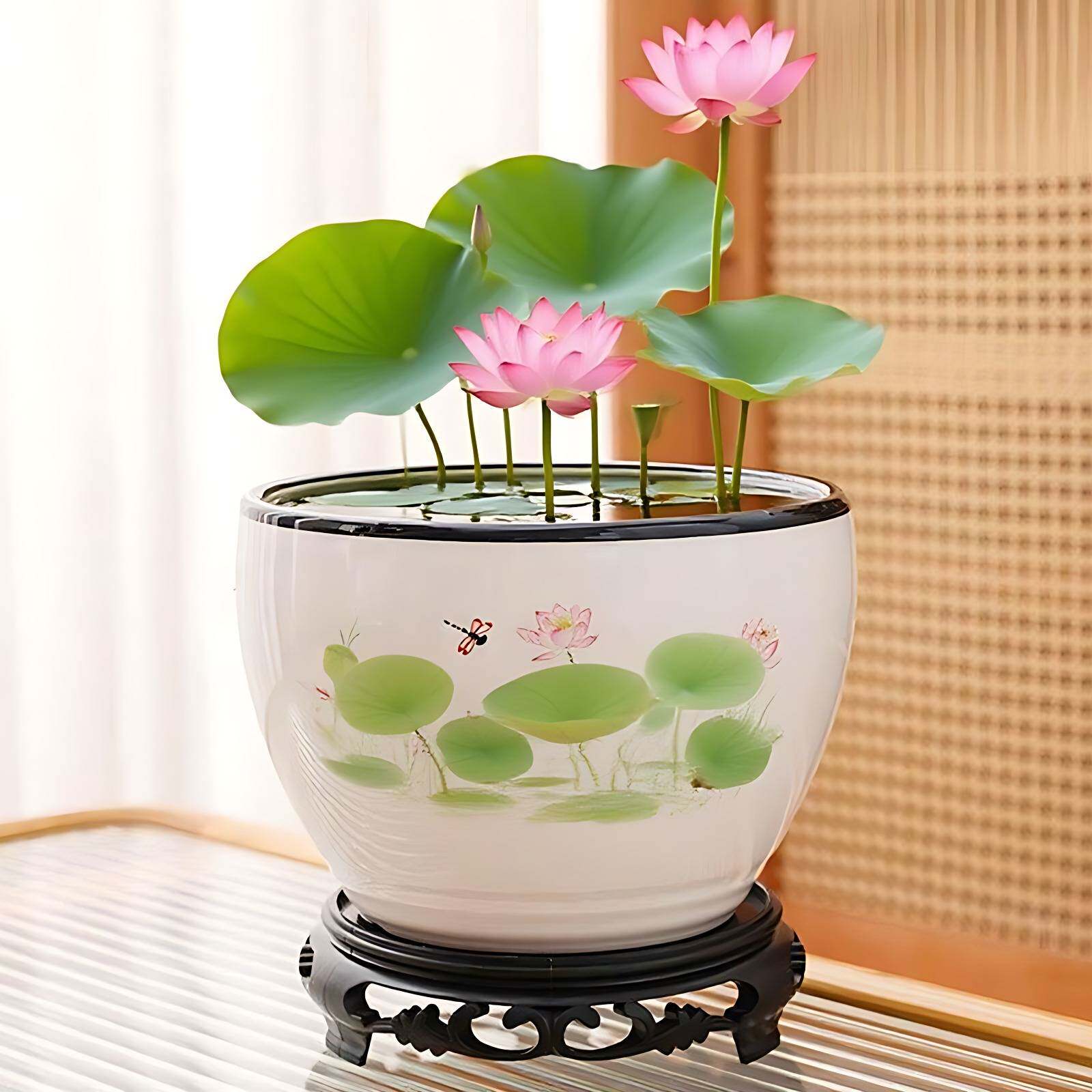 水培花盆陶瓷器皿大号家用
