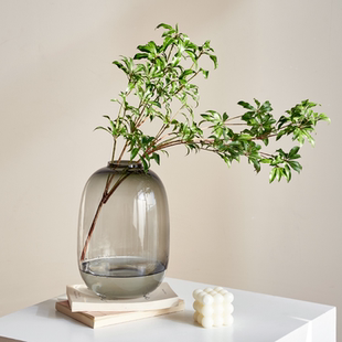 简约高级感玻璃花瓶摆件水培吊钟雪柳马醉木客厅鲜花插花落地装 饰