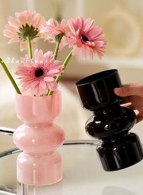 小众网红玻璃花瓶桌面高颜值摆件客厅插花水培鲜花高级感装饰品