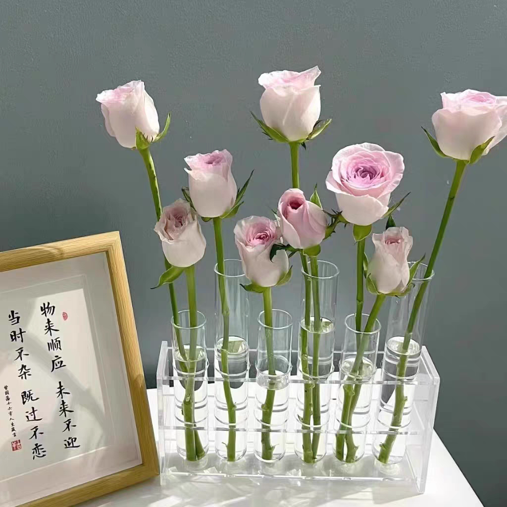 一排试管花瓶网红折叠ins水培图片