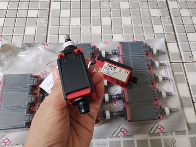 R+W 618.3000.313 IN62-A2Z FF M1269 IEC/EN60947-5-1开关