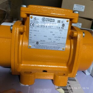 Italvibras 600311A MVSI 3/100-S02 FC 122KG RPM3000电子振荡器