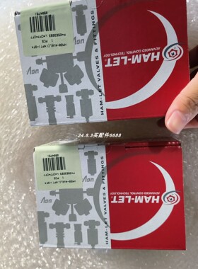 Ham-Let HM20-4VKLC(NPT)GF4气动阀RTA EM 1H2H-04D0马达