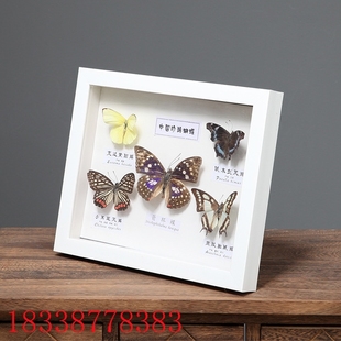 正方形7寸相框立体画框衍纸画框中空2厘米方7寸昆虫蝴蝶标本框
