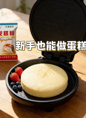 广东九叔牌自发糕粉烤微波炉烘焙蛋糕饼点饼干老式蒸蛋糕粉专用粉