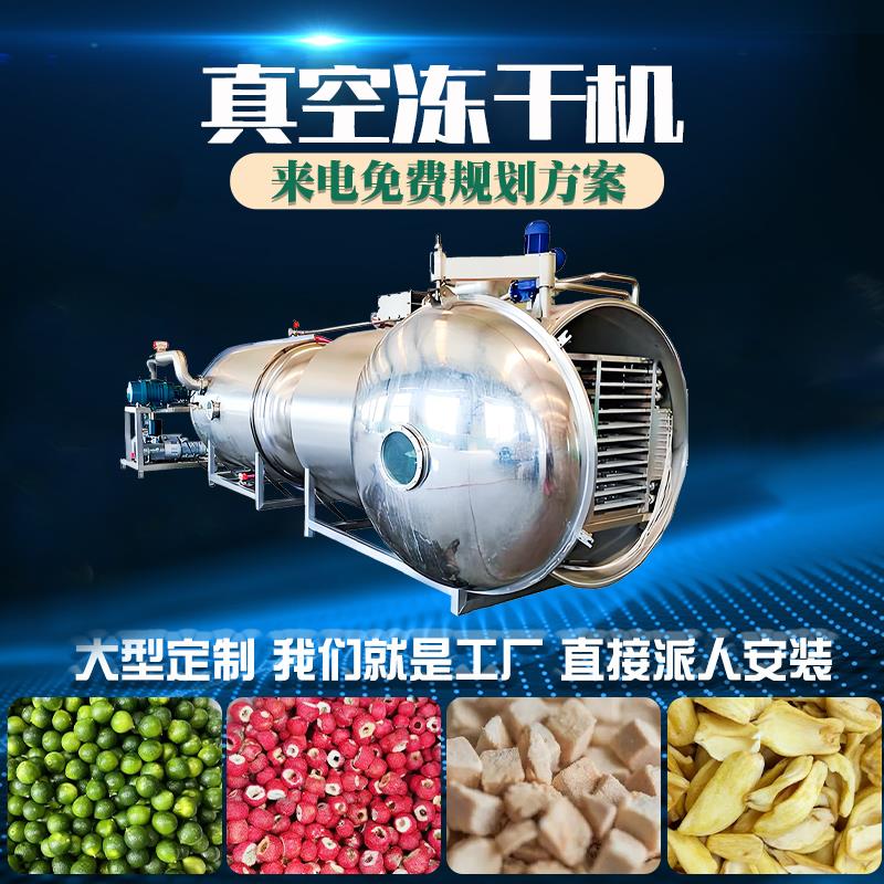 草莓菠萝蜜真空冻干机宠物零食真空冻干设备酸奶块真空冷冻干燥机