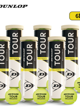 DUNLOP邓禄普加亮网球TOUR BRILLIANCE耐磨高弹练习比赛用球