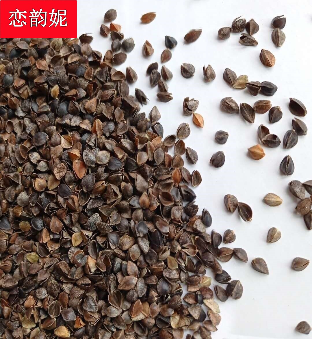 赤峰优质出口级荞麦壳荞麦皮散装甜荞特装枕头填充物免洗