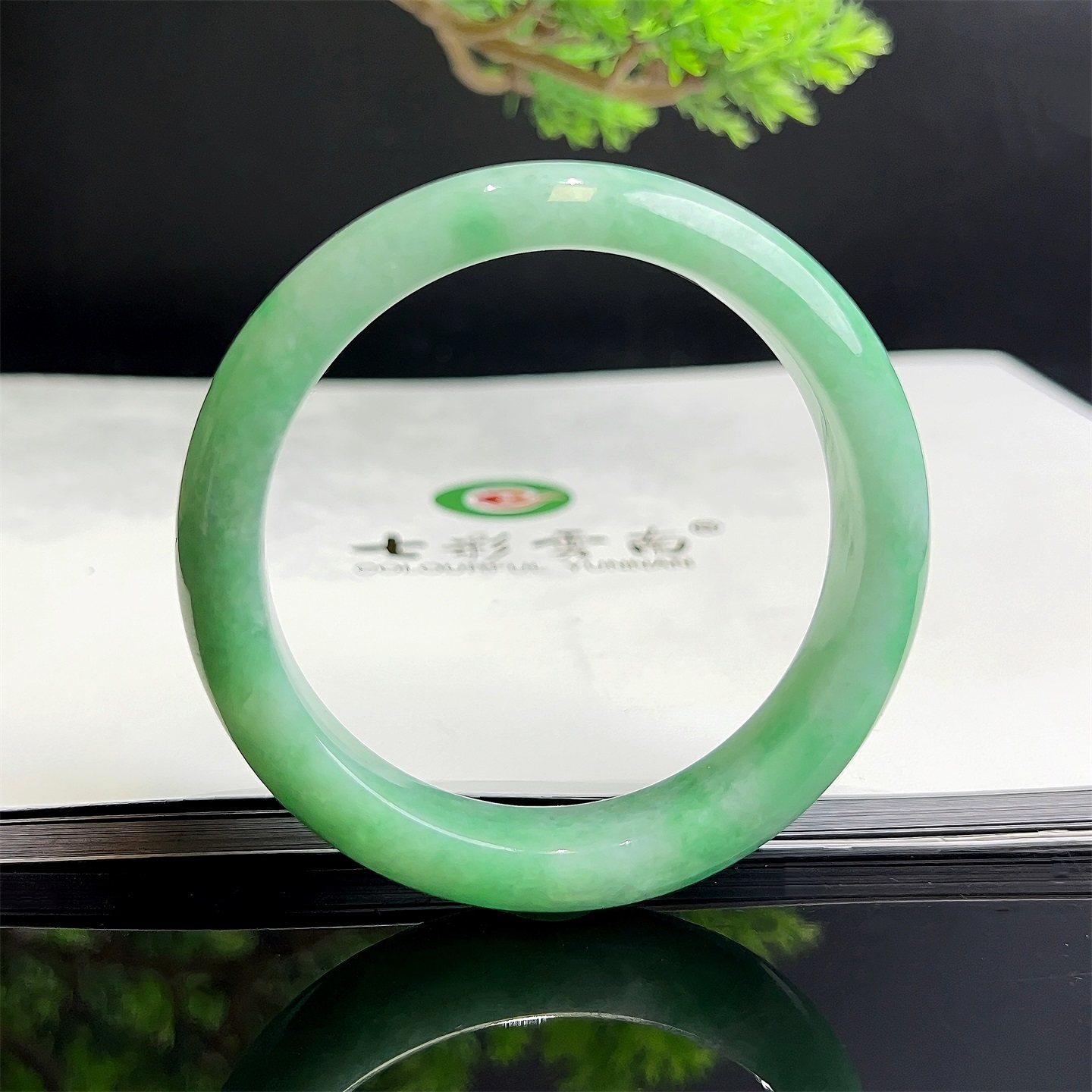 七彩云南缅甸A货天然翡翠糯种满绿翡翠手镯一物一证支持复检