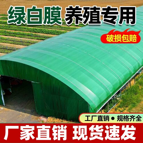 养殖大棚绿白膜大棚膜食用菌专用膜防航拍农用塑料膜塑料布绿色厚