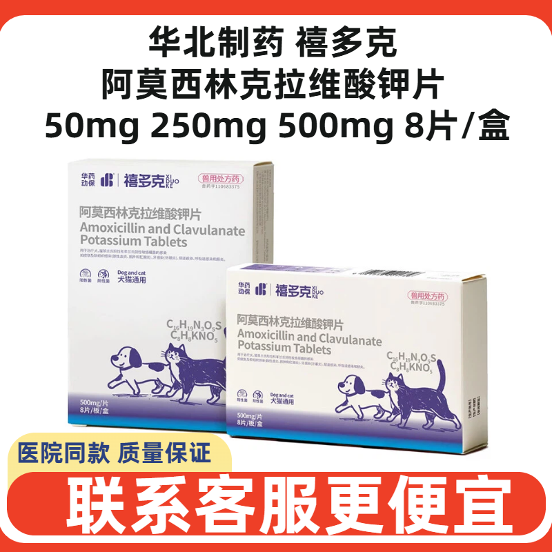 华北制药禧多克阿莫西林克拉维酸钾片犬猫狗速消炎片猫鼻支诺喷嚏,宠物/宠物食品及用品,狗特色药品,淘宝优惠券,粉丝福利购,淘宝优惠卷