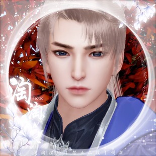 淘淘原创捏脸 新天龙八部手游捏脸 全职业通用 公测可用 榆木