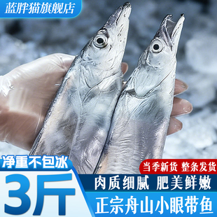 舟山带鱼整条海鲜东海水产新鲜鲜活冷冻小眼雷达网油带鱼刀鱼整箱