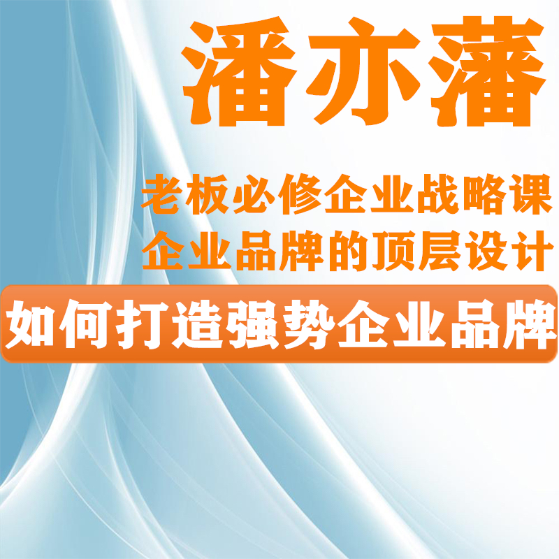 潘亦藩企业战略定位和配称视频企业家战略思维多元化差异竞争课程