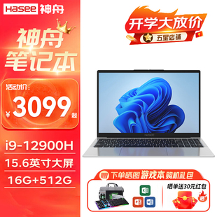 神舟 Hasee 14核i9高性能轻薄 X5A9 神州办公游戏笔记本电脑 优雅