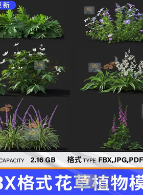 C4D花草模型 FBX植物模型含材质贴图 支持OC渲染器阿诺德Redshift