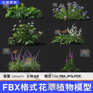 C4D花草模型 FBX植物模型含材质贴图 支持OC渲染器阿诺德Redshift