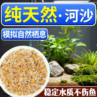 天然河沙鱼缸造景底砂铺底装饰颗粒细沙水晶粗沙多肉植物花盆铺面