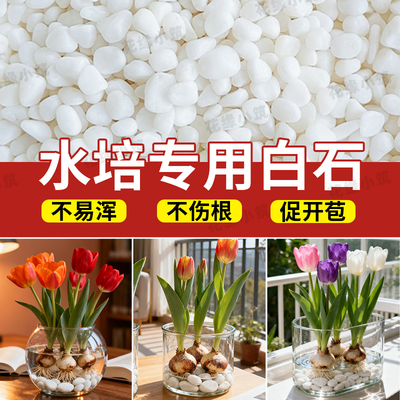 水培植物专用小石头多肉绿植铺面白石子种花造景装饰天然鹅卵石