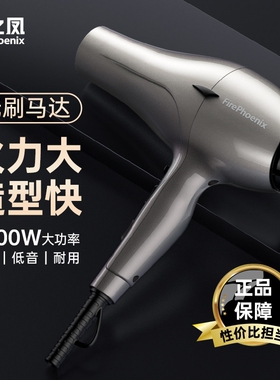 火之凤吹风机6600H理发店专用发