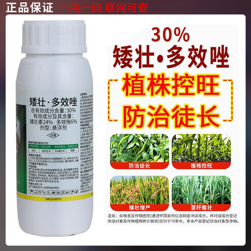 矮状素多效唑果树玉米花生控旺专用药多咬唑矮壮剂植物通用控旺药
