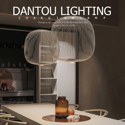 丹麦Spoke鸟笼吊灯现代简约