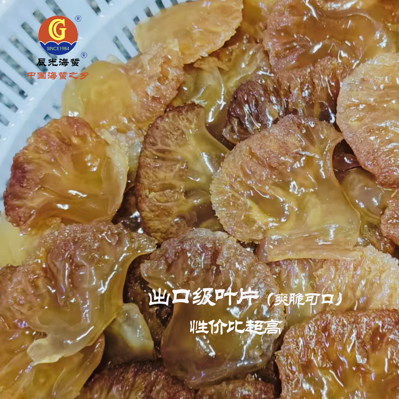 出口级叶片（特价福利）海蜇头爽脆可口营口特产 ( 1斤/2斤/5斤）