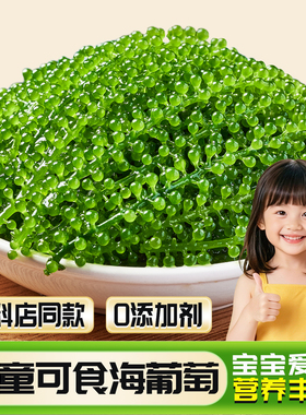 儿童海葡萄绿色鱼子酱即食泡发小孩吃的新鲜盐渍海葡萄官方旗舰店