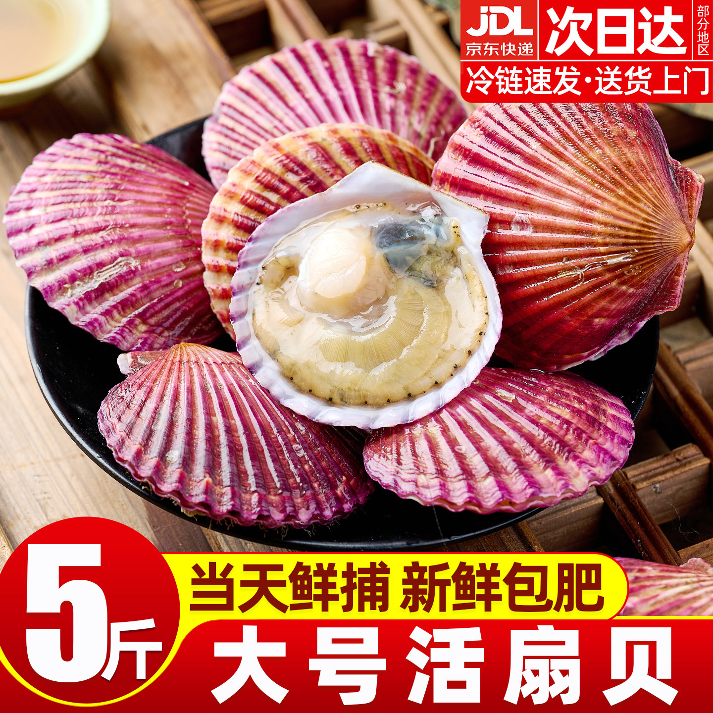 扇贝鲜活红贝鲜活特大港湾贝夏夷贝贝类海鲜批发现捕现发包鲜包肥,水产肉类/新鲜蔬果/熟食,贝类制品,淘宝优惠券,粉丝福利购,淘宝优惠卷