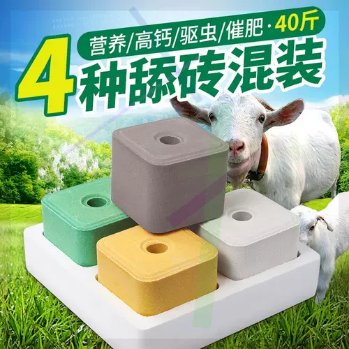 Звери облизывали кирпичи и овец, овцы соляного кирпича, специальный соленый скот и овцы, коровы с удобрениями с овцами питательных веществ