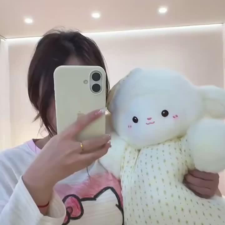 大号豆袋安抚小羊三花猫
