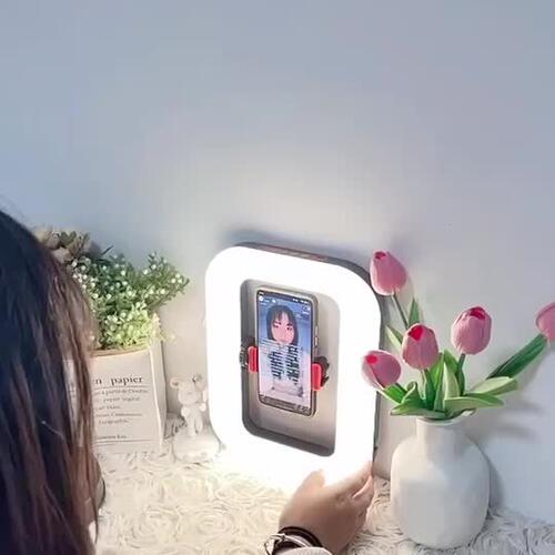 充电直播专用手持环形补