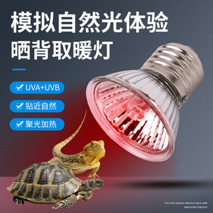 芦丁鸡取暖灯泡UVA UVB全光谱爬宠乌龟晒背灯育雏灯泡25w50W75瓦