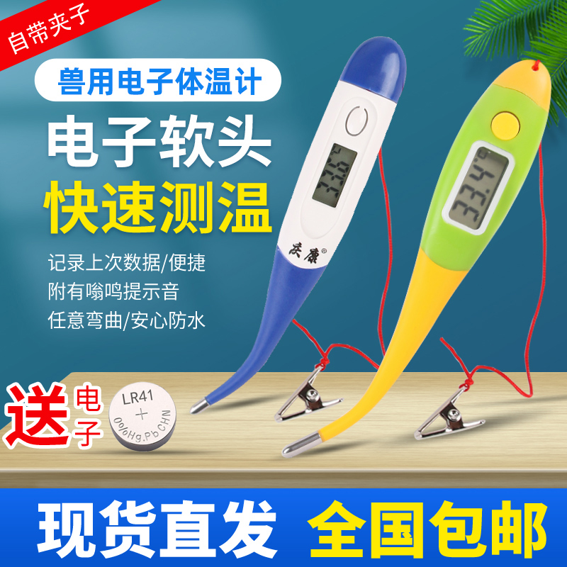 电子体温计动物养殖猪