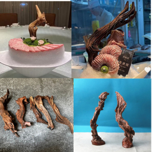 海鲜姿造背景装饰天然树枝天然木棍盘式创意根雕造型摆件干树枝