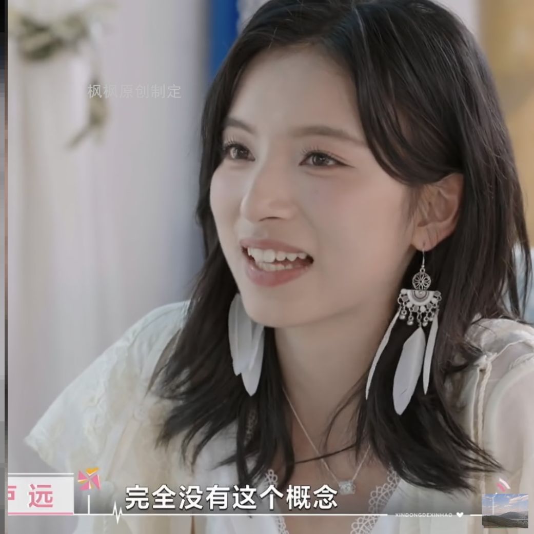 心动的信号卢远同款羽毛耳钉耳环2025新款时尚百搭高级感新款耳钩
