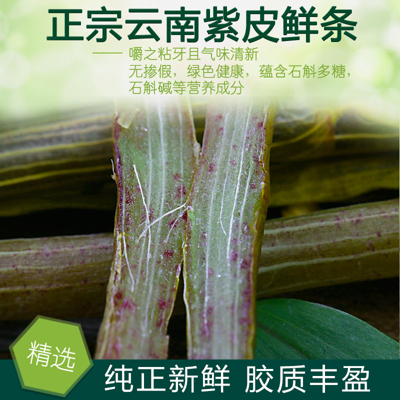 新鲜石斛紫皮石斛新鲜