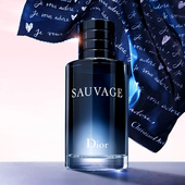 情人节礼物 Dior迪奥旷野男士 香水系列 木质芳香调约会 礼物