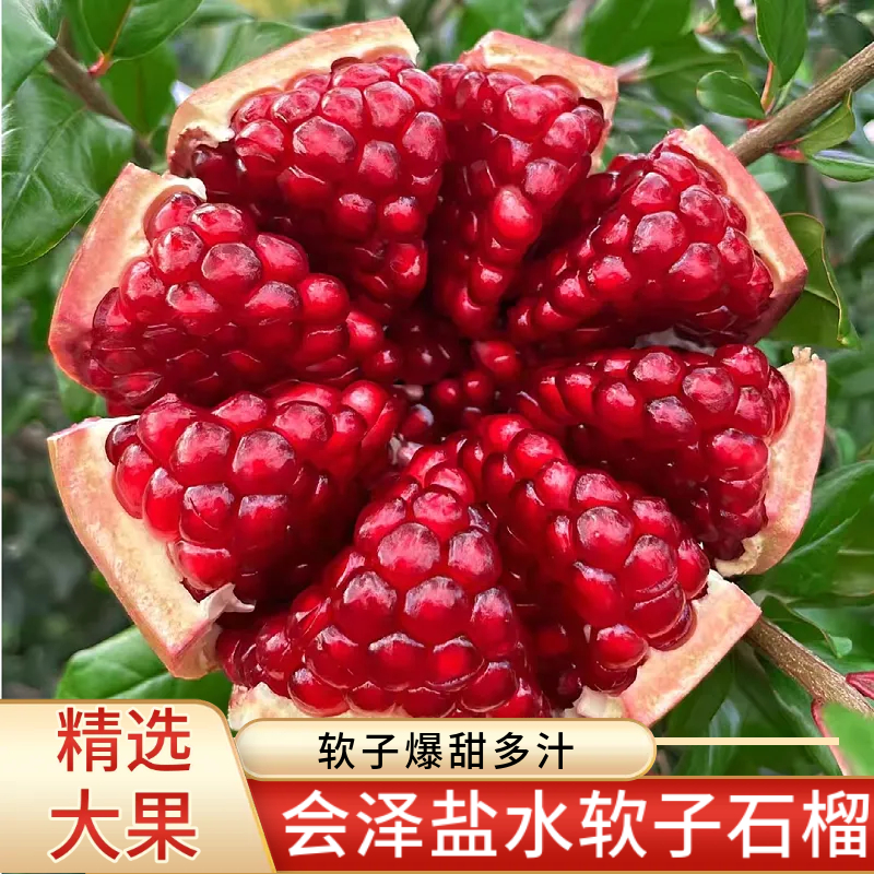 云南会泽盐水软籽石榴新鲜水果突尼斯软籽鲜果大果孕妇礼盒装现摘