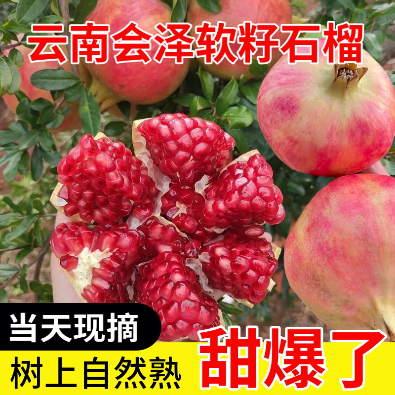 正宗云南会泽盐水软籽石榴整箱礼盒特大果10斤鲜果突尼斯新鲜水果